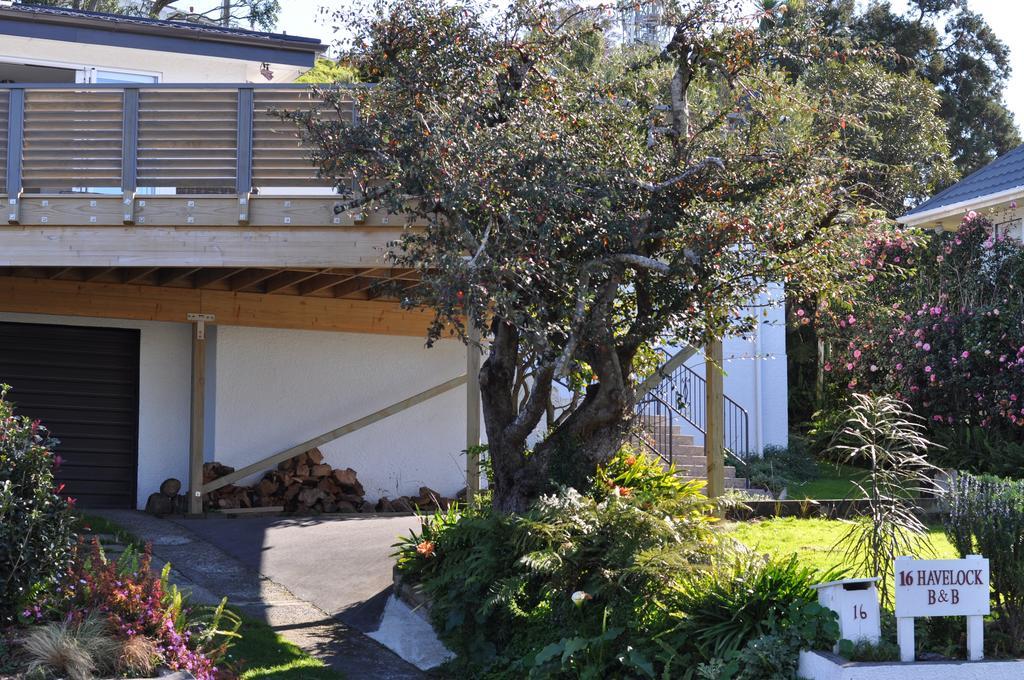 Bed and Breakfast 16 Havelock New Plymouth Exteriér fotografie