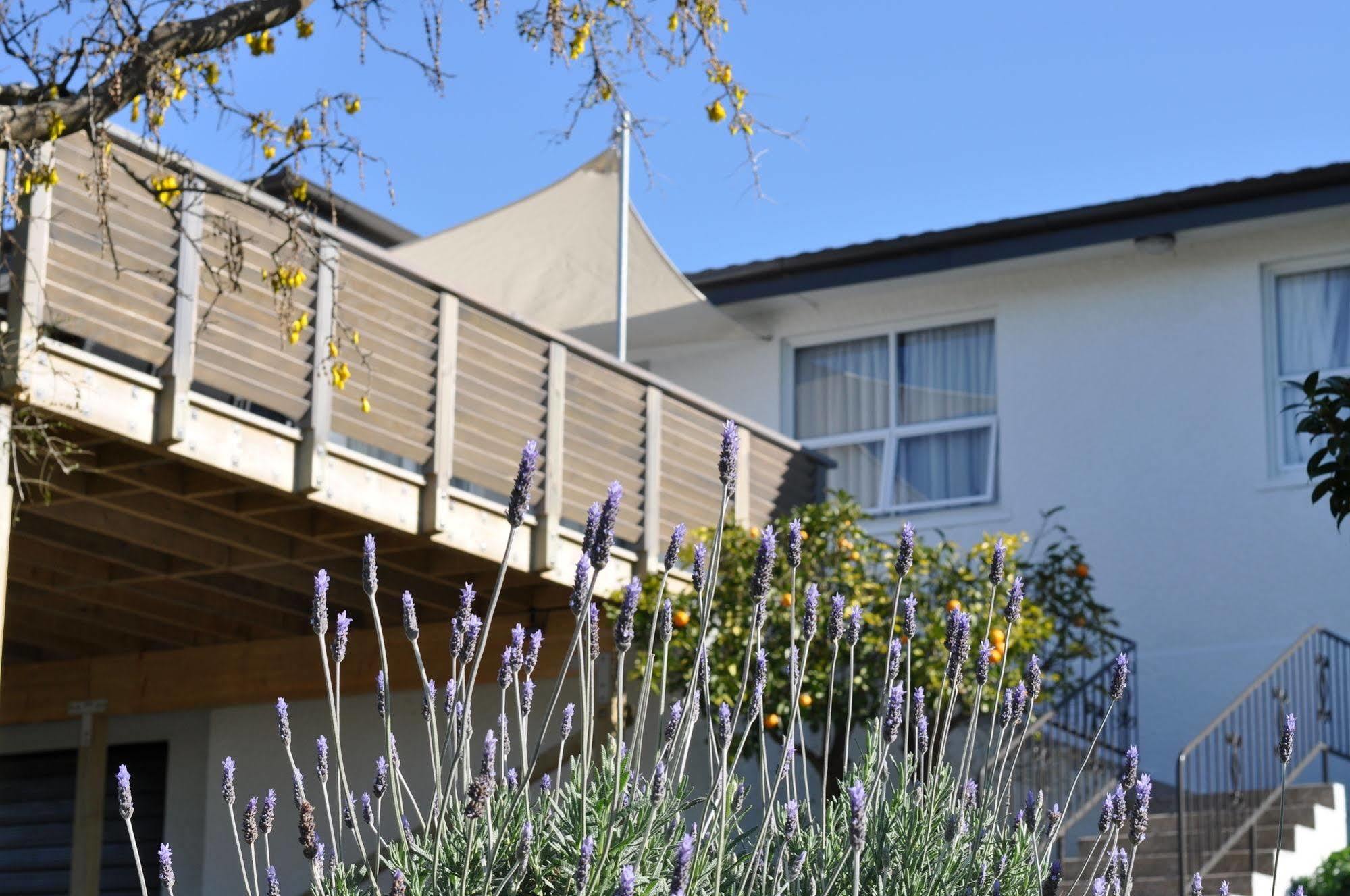 Bed and Breakfast 16 Havelock New Plymouth Exteriér fotografie